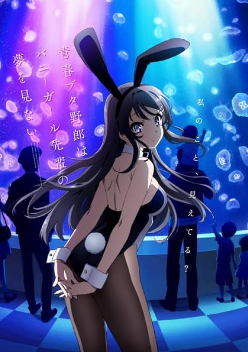 Seishun Buta Yarou wa Bunny Girl Senpai no Yume wo Minai เรื่องฝันปั่นป่วยของผมกับรุ่นพี่บันนี่เกิร์ล ตอนที่ 1-13 จบ ซับไทย